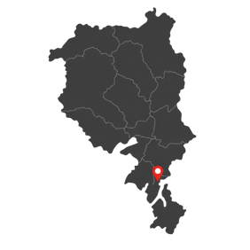 ticino
